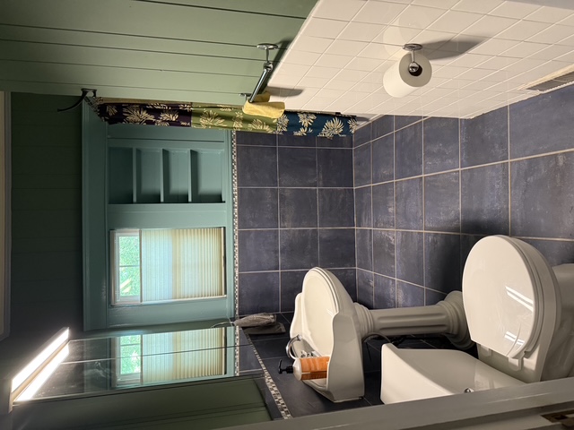 Room for Rent in Great West Asheville Neighborhood!  • $900/Month